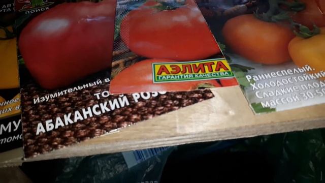 ?СТОИТ ЛИ ЗАМАЧИВАТЬ СЕМЕНА ПЕРЕД ПОСАДКОЙ?/✔ВЗОШЛИ СЕМЕНА БЕЗ ЗАМАЧИВАНИЯ!/?МОЙ РЕЗУЛЬТАТ!/ смотреть онлайн