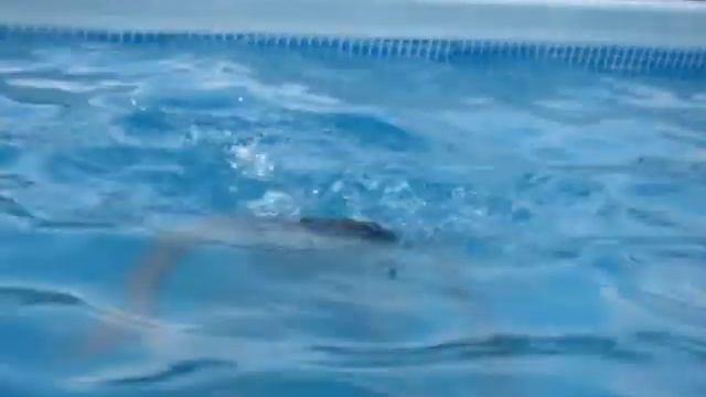 А где и как вы отдыхаете на каникулах? смотреть онлайн