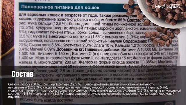 Обзор корма Leonardo Adult Fish смотреть онлайн