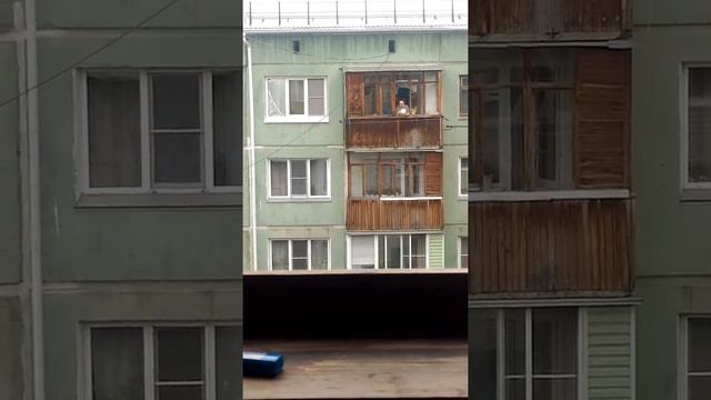 Бабка и капуста смотреть онлайн