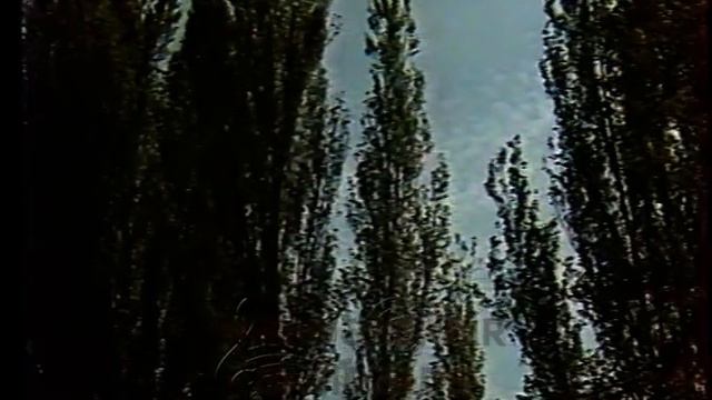 Məmmədbağır Bağırzadə - Heç Küsməyin Yeridirmi смотреть онлайн