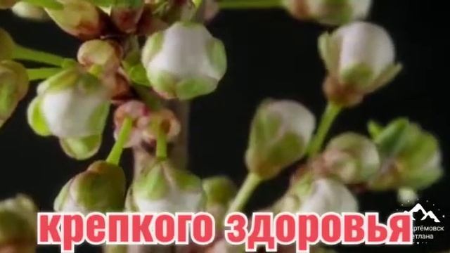 С весной вас ! Песня СССР - приходит время, и это время называется весна ! смотреть онлайн