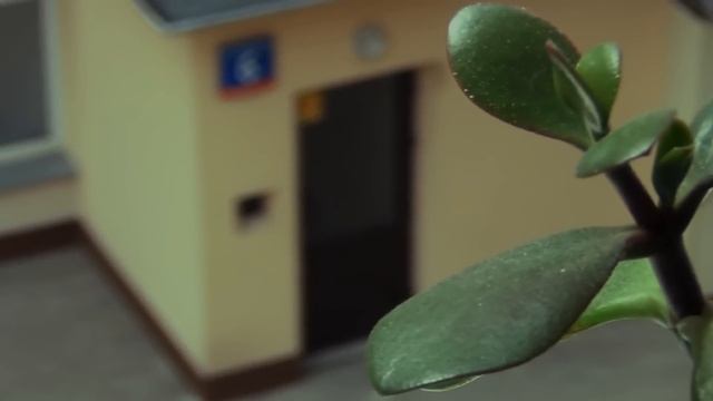 Sony HDR CX160e - Focus Test смотреть онлайн