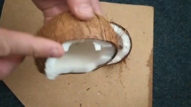 Кокос в аквариуме. смотреть онлайн