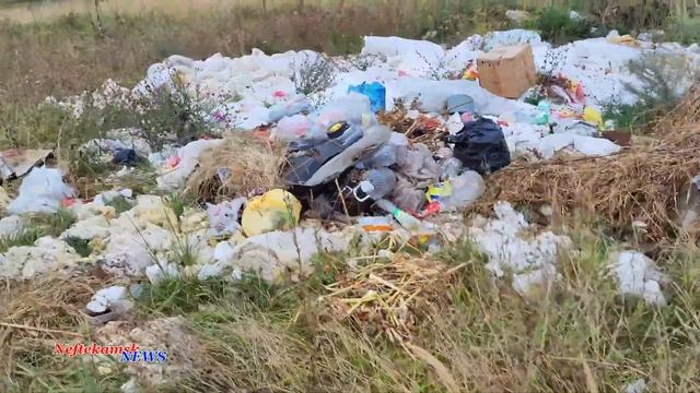 Где живут, там и срут. (д.Енактаево, Краснокамский р-н).) смотреть онлайн