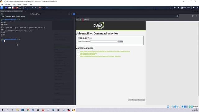 DVWA Task 2 – Command Execution смотреть онлайн