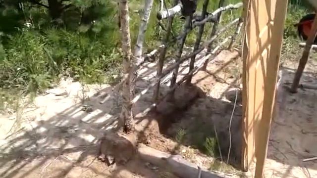 2015 06 27 Дом. Часть 2 смотреть онлайн