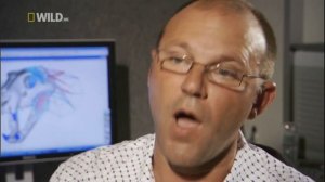 Доисторические хищники / Prehistoric Predators Серия 5 Саблезубый тигр