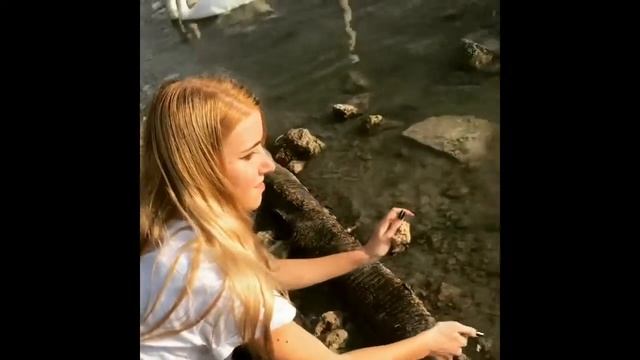 НЕВЕРОЯТНО КРАСИВЫЕ ЛЕБЕДИ!! СМОТРЕТЬ ВСЕМ!!! смотреть онлайн