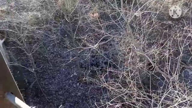 На реку Тана-Су (с. Бурчек) не повлиял сильный снег смотреть онлайн