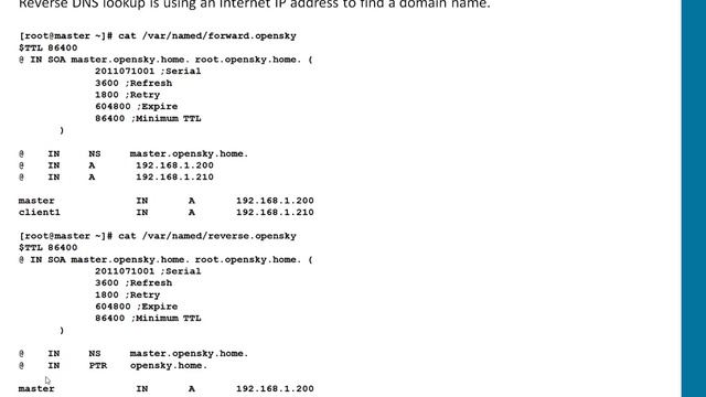 Configure Forward and Reverse Lookup files for BIND смотреть онлайн