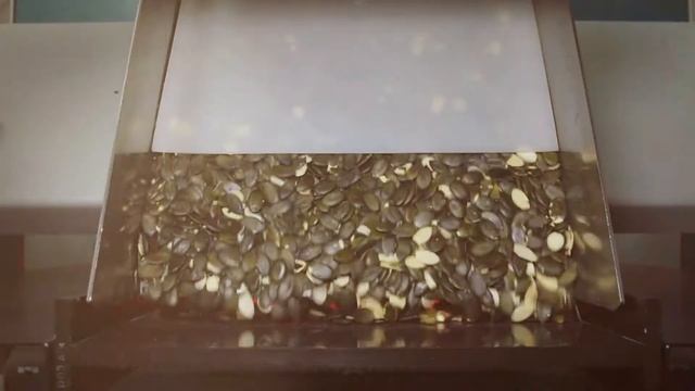Очистка тыквенной семечки на фотосепараторе SmartSort (2018) смотреть онлайн