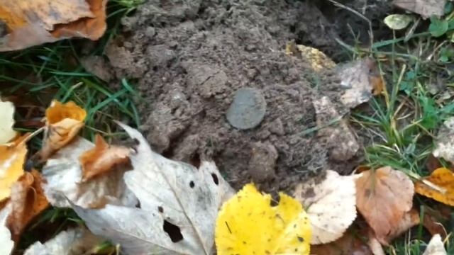 Держу в руках такие деньжищи! Иностранные монеты. Гипер номинал. Золотой Трофей! Коп в Германии! смотреть онлайн