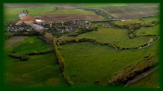 Birdsong-Drofa + akomponiment | Пение птиц-Дрофа с аккомпанементом смотреть онлайн