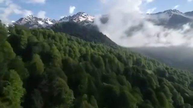 «Романовский» отель (Красная поляна) смотреть онлайн