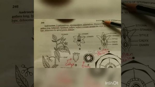 Dr VISHAL SHARMA;FAMILY:SOLANACEAE;OCET,IAS,IFS