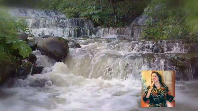 День народного единства. смотреть онлайн