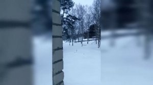 Санаторий "Малые Соли". Не судите строго. Румтур и сами увидите