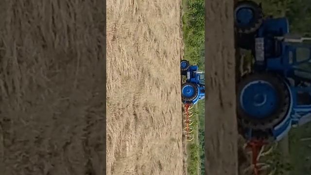 Т-40 АМ і граблі сонечко на 5 коліс на болоті. смотреть онлайн