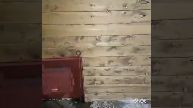 Баня с купелью в Архангельске