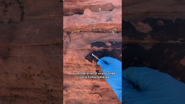 Clonando um Escalador no Laboratório de DNA ?? смотреть онлайн