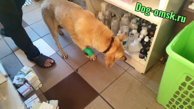 Что-то случилось с ИЗОЛЬДОЙ. смотреть онлайн