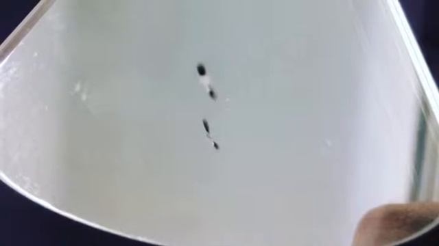 Мерседес. Mercedes Benz смотреть онлайн