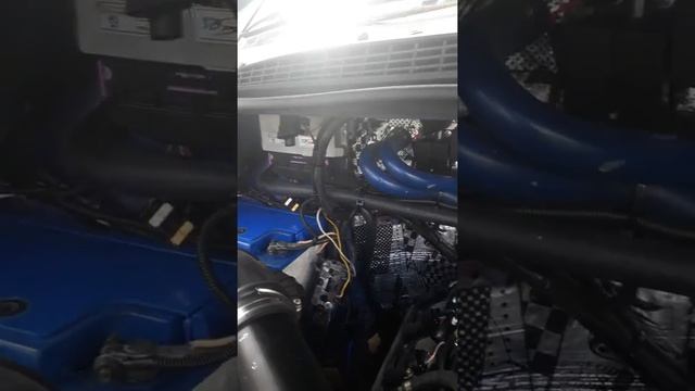 Газелексус....Краснодар... смотреть онлайн