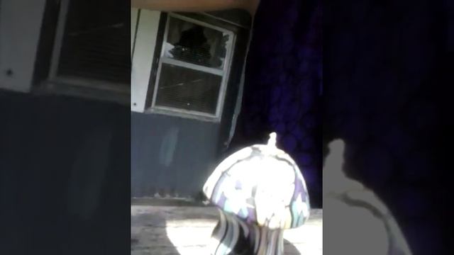 Mushroom Candle смотреть онлайн