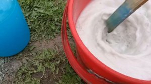 обработка клубники бордоской смесью