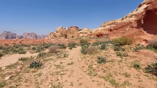 ТАКОЙ ИОРДАНСКОЙ ПЕТРЫ ВЫ НИКОГДА НЕ ВИДЕЛИ (ЕСЛИ НЕ СМОТРИТЕ 