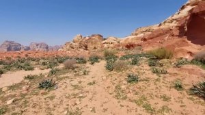 ТАКОЙ ИОРДАНСКОЙ ПЕТРЫ ВЫ НИКОГДА НЕ ВИДЕЛИ (ЕСЛИ НЕ СМОТРИТЕ "ЗАБЫТЫЕ РУИНЫ")‼️