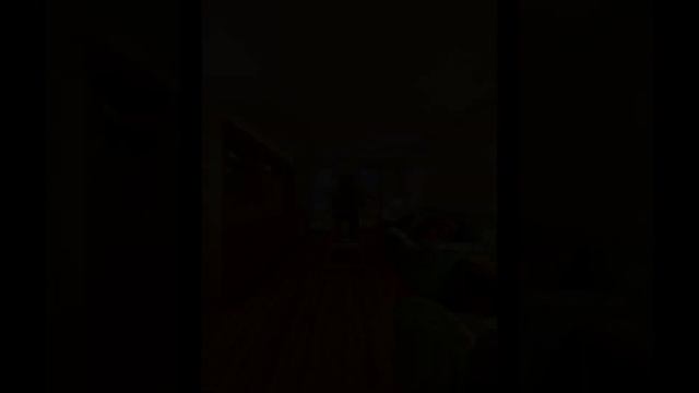 243 Mcdonald Avenue #1d Brooklyn, NY 11218 - Townhouse - Real Estate - For Sale смотреть онлайн
