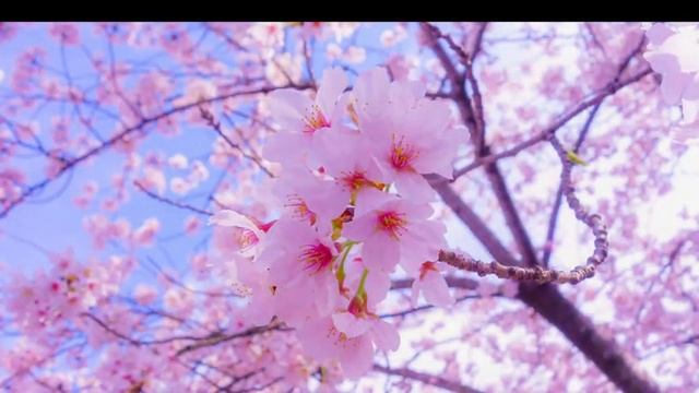 Let's build a moba game in typescript and phaser.js смотреть онлайн