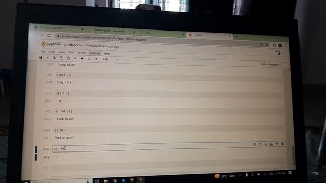 #python#String function#find#count смотреть онлайн