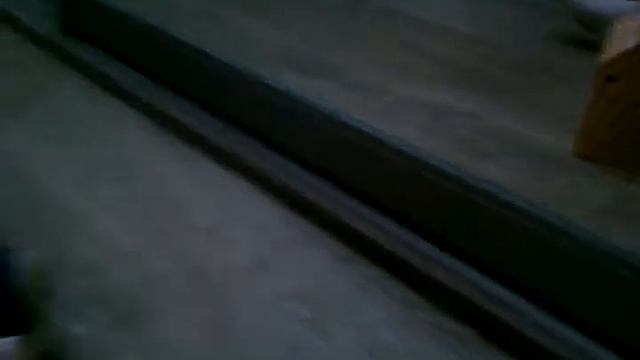 2 хомячка белый и серый смотреть онлайн