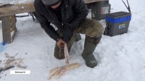 Подледная рыбалка Ice fishing 2023 Саха Якутия Sakha Yakutia