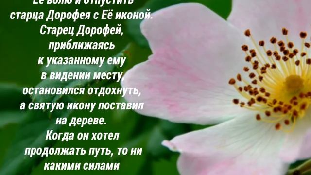 Икона Богородицы « Одигитрия » Югская! - ПРАЗДНОВАНИЕ: 16 июня и 10 августа. смотреть онлайн
