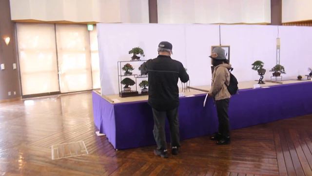 九州雅展　bonsai miyabi смотреть онлайн