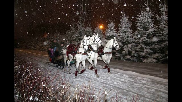 Гетеобразное смотреть онлайн