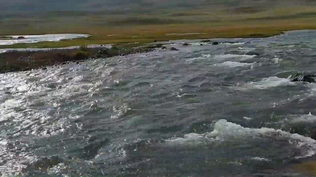 Алтайские путешествия 2019. #охотанакозерога #горнаяохота смотреть онлайн