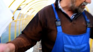 Защита теплицы от животных.