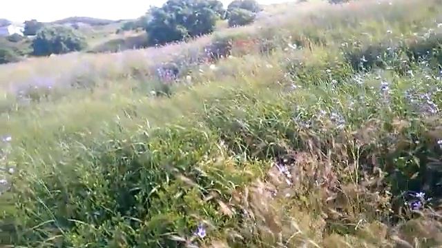 Херсонес смотреть онлайн