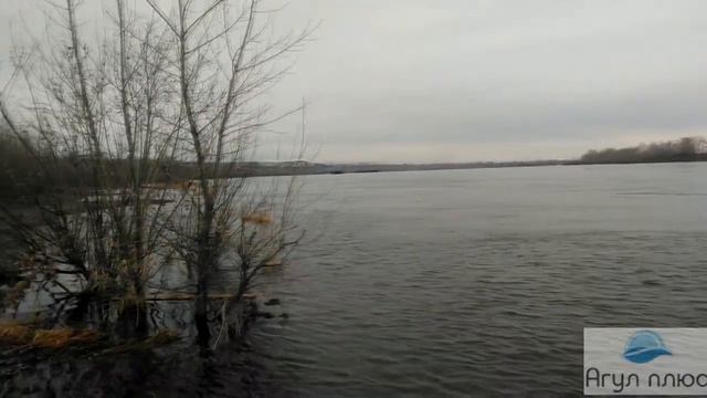 Енисей, пискари для налима. смотреть онлайн