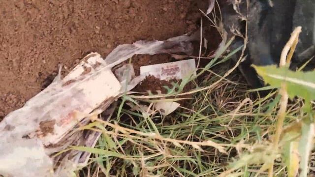 Случайно нашли клад смотреть онлайн