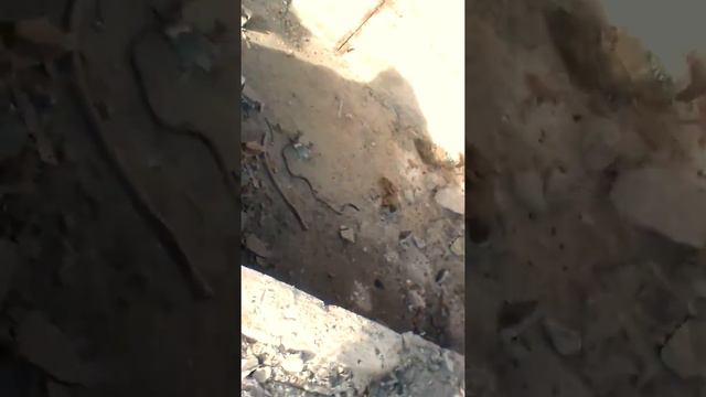 Идём на ТЭЦ смотреть онлайн