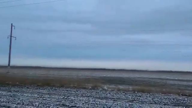 дикие гуси смотреть онлайн