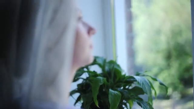 Пластиковые Окна VEKA Иваново — отзывы 1 смотреть онлайн