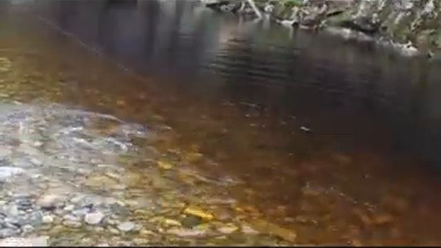 таймень смотреть онлайн