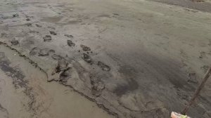 Рыбалка. Апрель 2022. Обь. Судак на резинку